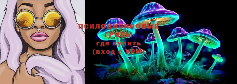 Галлюциногенные грибы Magic Shrooms  Ершов 